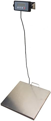 Stainless steel physician medical scale