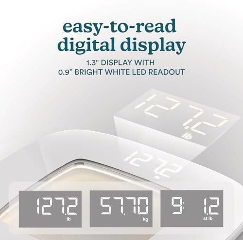 Motion Sensing Ambient Light Scale — photo 3