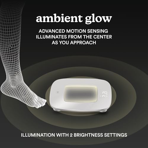 Motion Sensing Ambient Light Scale — photo 5